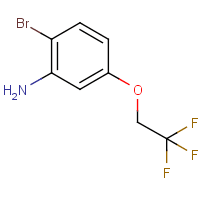 2-Bromo-5-(2,2,2-trifluoroethoxy)aniline