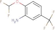 2-(Difluoromethoxy)-5-(trifluoromethyl)aniline