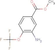 Methyl 3-amino-4-(trifluoromethoxy)benzoate