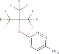 6-[2,2,2-Trifluoro-1,1-bis(trifluoromethyl)ethoxy]pyridazin-3-amine
