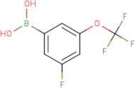 3-Fluoro-5-(trifluoromethoxy)benzeneboronic acid