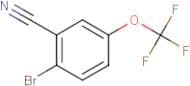 2-Bromo-5-(trifluoromethoxy)benzonitrile