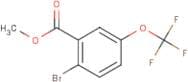 Methyl 2-bromo-5-(trifluoromethoxy)benzoate