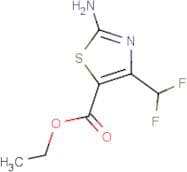 Ethyl 2-amino-4-(difluoromethyl)-1,3-thiazole-5-carboxylate