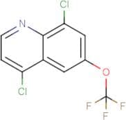 4,8-Dichloro-6-(trifluoromethoxy)quinoline
