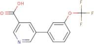 5-[3-(Trifluoromethoxy)phenyl]nicotinic acid