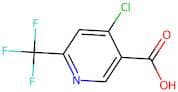 4-Chloro-6-(trifluoromethyl)nicotinic acid