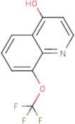 8-(Trifluoromethoxy)-4-hydroxyquinoline