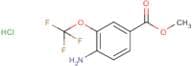 4-Amino-3-(trifluoromethoxy)benzoic acid methyl ester hydrochloride