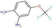 4-(Trifluoromethoxy)benzene-1,2-diamine