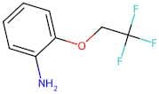 2-(2,2,2-Trifluoroethoxy)aniline
