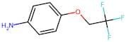 4-(2,2,2-Trifluoroethoxy)aniline