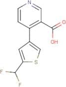 4-[5-(Difluoromethyl)-3-thienyl]pyridine-3-carboxylic acid