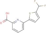 6-[5-(Difluoromethyl)-2-thienyl]pyridine-2-carboxylic acid