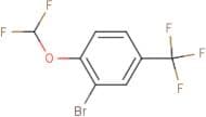 2-Bromo-1-(difluoromethoxy)-4-(trifluoromethyl)benzene