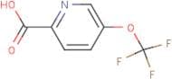 5-(Trifluoromethoxy)pyridine-2-carboxylic acid