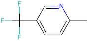 2-Methyl-5-(trifluoromethyl)pyridine