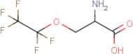 2-Amino-3-pentafluoroethyloxy-propionic acid
