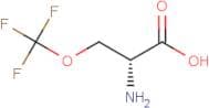 (2R)-2-Amino-3-(trifluoromethoxy)propanoic acid
