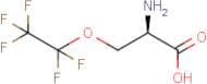 (2R)-2-Amino-3-(pentafluoroethoxy)propanoic acid