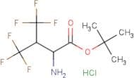 4,4,4,4',4',4'-Hexafluorovaline tert-butyl ester hydrochloride