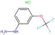 [3-(Trifluoromethoxy)phenyl]hydrazine hydrochloride
