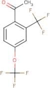 4-(Trifluoromethoxy)-2-(trifluoromethyl)acetophenone
