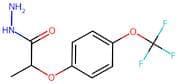 2-Methyl-2-[4-(trifluoromethoxy)phenoxy]acetic hydrazide