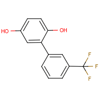 3-(2,5-Dihydroxyphenyl)benzotrifluoride