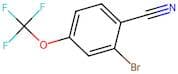2-Bromo-4-(trifluoromethoxy)benzonitrile