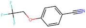 4-(2,2,2-Trifluoroethoxy)benzonitrile