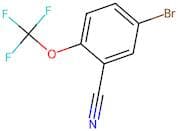 5-Bromo-2-(trifluoromethoxy)benzonitrile