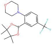 2-Morpholin-4-yl-5-(trifluoromethyl)benzeneboronic acid, pinacol ester
