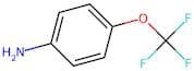 4-(Trifluoromethoxy)aniline