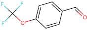 4-(Trifluoromethoxy)benzaldehyde