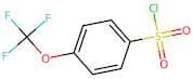 4-(Trifluoromethoxy)benzenesulphonyl chloride