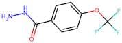 4-(Trifluoromethoxy)benzhydrazide