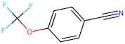 4-(Trifluoromethoxy)benzonitrile