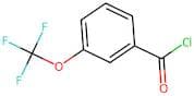 3-(Trifluoromethoxy)benzoyl chloride