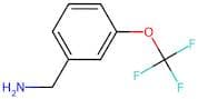 3-(Trifluoromethoxy)benzylamine