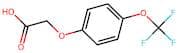 4-(Trifluoromethoxy)phenoxyacetic acid