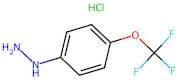 4-(Trifluoromethoxy)phenylhydrazine hydrochloride