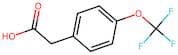 4-(Trifluoromethoxy)phenylacetic acid
