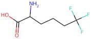 6,6,6-Trifluoro-DL-norleucine