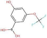 3-Hydroxy-5-(trifluoromethoxy)benzeneboronic acid