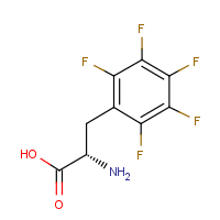 L-Pentafluorophenylalanine