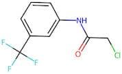 N-(Chloroacetyl)-3-(trifluoromethyl)aniline