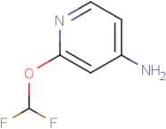 2-(Difluoromethoxy)pyridin-4-amine
