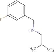 N-Isobutyl 3-fluorobenzylamine