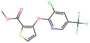 Methyl 3-[3-chloro-5-(trifluoromethyl)pyridin-2-yloxy]thiophene-2-carboxylate